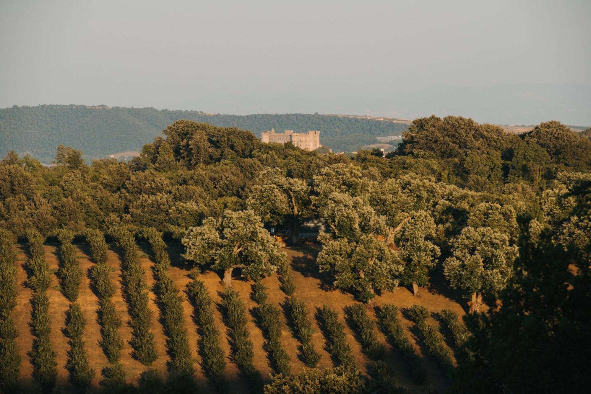 Villa Clodia Relais Manziana Exterior photo